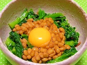 納豆ツルムラサキ
